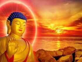 如來正法永放光芒