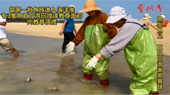 放生魚兒 直立回遊謝恩實錄