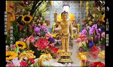 5月11日 還願精舍  南無釋迦牟尼佛 佛诞浴佛法会