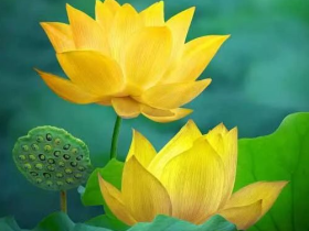 如何正确地念佛才能有受用?