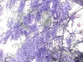 如此做佛事有用吗?