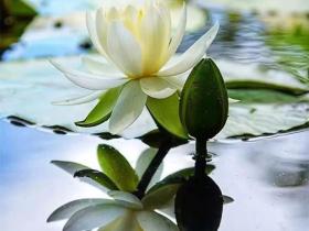 如法闻法给我深深的触动