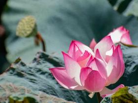 算命打卦、看风水能改变人的运气吗?