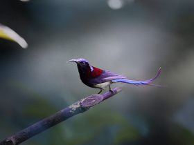 你还没有放下世俗的贪著吗?