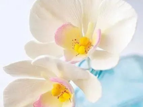 我竟然被魔收拾了一顿