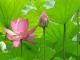 即便八十岁老娘已痴呆,我却依然是她心中的宝