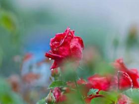 拜访了一位久避尘俗的老和尚,产生的对话颠覆了我所接触到的…