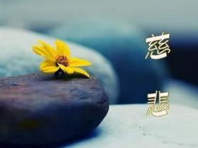 我对放生的浅见 从生命与慧命谈起