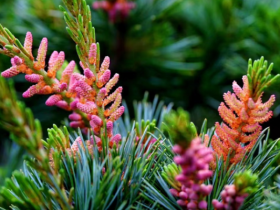 “㧯起半截就开跑” 伤害了谁