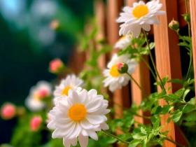 帮助他人成就自己