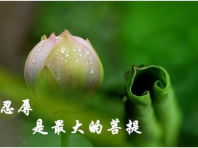 对境来时,忍辱便是修行