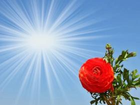 【感悟】面对怨怼与误解,从容淡定才是良方