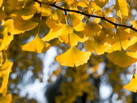 所知障在不知不觉中犯了?快来看你有没有犯?