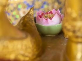 生死大事,福报相随