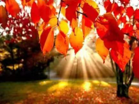 清明时节,终于体悟到“无常”的道理