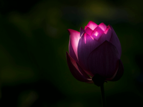 魔强法弱的时代,如何正确选择佛法?