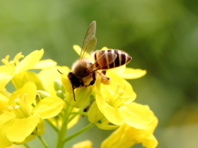 为何学佛后,还烦恼缠身