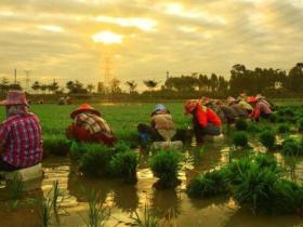 惜福,从节约的细节开始