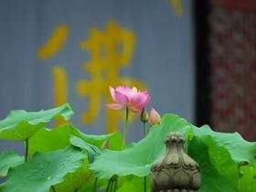 我的修行考卷:深夜海边放生