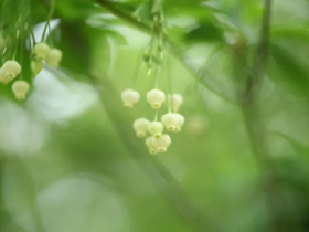 34岁女孩肺部肿瘤,生命垂危幸遇正法,重现曙光