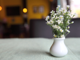 拥抱正法 就有希望