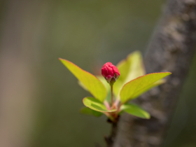 当服刑犯人遇到正法