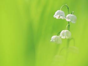 学佛让人幸福快乐