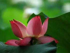 我用十年的光阴,才领悟到的…