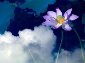 众人惧怕精怪不敢救人,我诵顶圣如来佛号昏迷女子醒来!