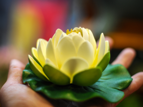 一颗宝丸,改变了要拆佛堂的婆婆