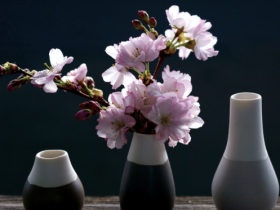 自从皈依后,我明白了因果业力的影响,更要好好修行了脱生死轮回之苦