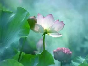 什么是真正的供养