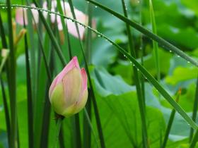 抑郁症的我是如何好转的