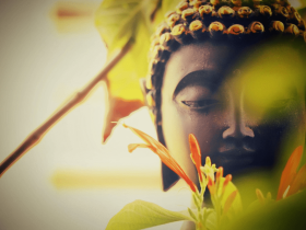 观音菩萨对我说:今生遇到了如来正法,一定要好好修行!