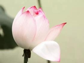 一个家庭的幸福,从好好说话开始